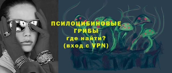 мдпв Арсеньев
